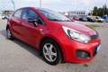 Kia Rio 1.2 Cool 5-türig Rot - thumbnail 8