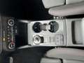 Ford Focus ST-Line Klimaauto/B&O/Winter-Pkt/LED/Navi/RFK Schwarz - thumbnail 13