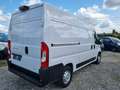 Fiat Ducato L2H2 NAVI AIRCO CRUISE PDC CAMERA Blanc - thumbnail 7