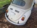 Volkswagen Beetle Alb - thumbnail 3