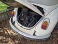 Volkswagen Beetle Alb - thumbnail 7