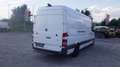 Mercedes-Benz Sprinter 316 MOTORSCHADE(08370) Alb - thumbnail 6