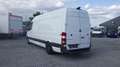 Mercedes-Benz Sprinter 316 MOTORSCHADE(08370) Alb - thumbnail 4