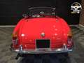 Alfa Romeo Giulia (Série 101.23) Origine FR // Superbe Restauration Rouge - thumbnail 5