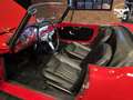 Alfa Romeo Giulia (Série 101.23) Origine FR // Superbe Restauration Rouge - thumbnail 10