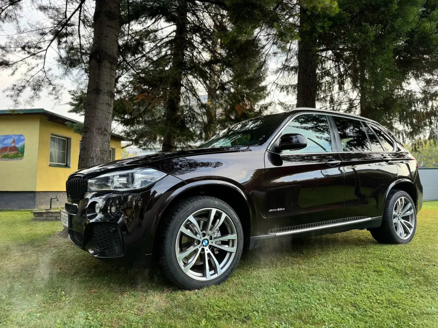 BMW X5 xDrive30d Sport-Aut. Maro - 1