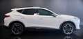 CUPRA Formentor 2.0 tdi 4drive 150cv dsg FULL PARI AL NUOVO! Bianco - thumbnail 2
