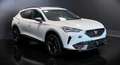 CUPRA Formentor 2.0 tdi 4drive 150cv dsg FULL PARI AL NUOVO! Bianco - thumbnail 4