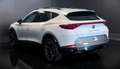 CUPRA Formentor 2.0 tdi 4drive 150cv dsg FULL PARI AL NUOVO! Bianco - thumbnail 5