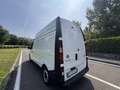 Renault Trafic Renault Trafic, euro 6b, anno 2019, 1.6 diesel - thumbnail 15