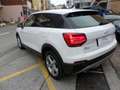 Audi Q2 Q2 1.6 tdi Business Bianco - thumbnail 7