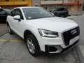 Audi Q2 Q2 1.6 tdi Business Bianco - thumbnail 3