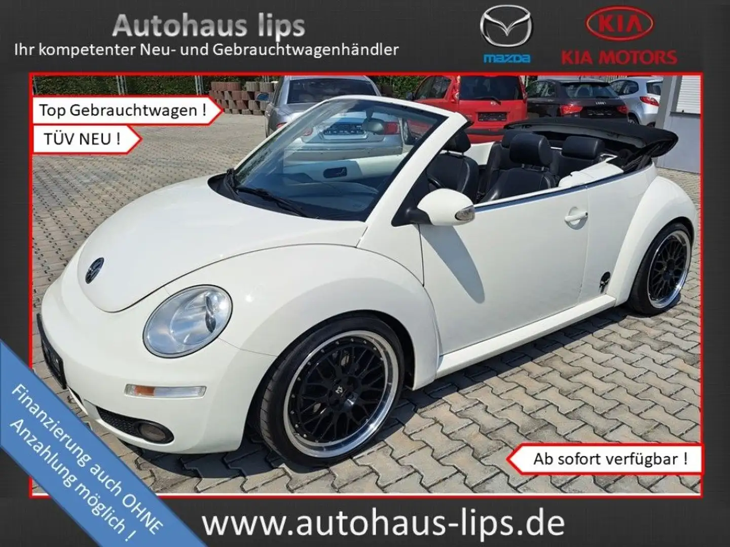 Volkswagen New Beetle Cabriolet 1.8t | Leder | Sitzhzg | Weiß - 1