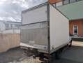 Iveco Daily Daily Turbo 35C15 Weiß - thumbnail 4