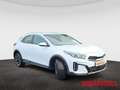 Kia XCeed 1,5 T Automatik Vision  Navi Sitzheizung Gewerbe s Weiß - thumbnail 8