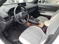 Mazda MX-30 Advantage 1.Hand Garantie Blanc - thumbnail 8