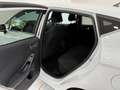 Ford Fiesta Fiesta VII 2022 5p 1.0 ecoboost h Titanium 125cv Bianco - thumbnail 11