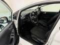 Ford Fiesta Fiesta VII 2022 5p 1.0 ecoboost h Titanium 125cv Bianco - thumbnail 9