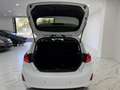 Ford Fiesta Fiesta VII 2022 5p 1.0 ecoboost h Titanium 125cv Bianco - thumbnail 15