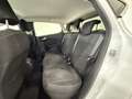 Ford Fiesta Fiesta VII 2022 5p 1.0 ecoboost h Titanium 125cv Bianco - thumbnail 12