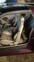 Pontiac Trans Am Trans+Am+undefined Burdeos - thumbnail 1