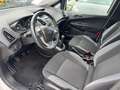 Ford B-Max 1.0 EcoBoost **SHZ PDC LM Allwetter** Blanc - thumbnail 12