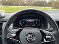 Skoda Kodiaq 2.0 Style 4x4 DSG - Keyless Entry - Memory Sitze Blanc - thumbnail 17