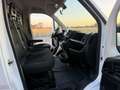 Fiat Ducato FIAT DUCATO 2.2 MULTIJET3 140CV EURO 6D CASSONE Wit - thumbnail 9