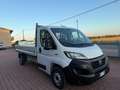 Fiat Ducato FIAT DUCATO 2.2 MULTIJET3 140CV EURO 6D CASSONE Wit - thumbnail 3