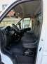 Fiat Ducato FIAT DUCATO 2.2 MULTIJET3 140CV EURO 6D CASSONE Wit - thumbnail 8