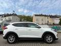 Hyundai TUCSON Tucson 1.6 Turbo Advantage *AHK*KAMERA*NAVI*SPUR Weiß - thumbnail 7