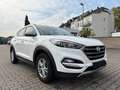Hyundai TUCSON Tucson 1.6 Turbo Advantage *AHK*KAMERA*NAVI*SPUR Weiß - thumbnail 8