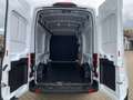 Ford Transit Transit 350 L3H3 Lkw VA Trend (V363) Blanc - thumbnail 7