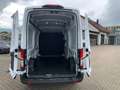 Ford Transit Transit 350 L3H3 Lkw VA Trend (V363) Blanc - thumbnail 22