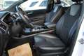 Ford Edge 2,0 EcoBlue SCR 4x4 ST-Line Aut.*Anhängevorrichtu Wit - thumbnail 8