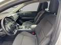 Renault Talisman Grandtour Zen 1.3 Automatik LED Weiß - thumbnail 11