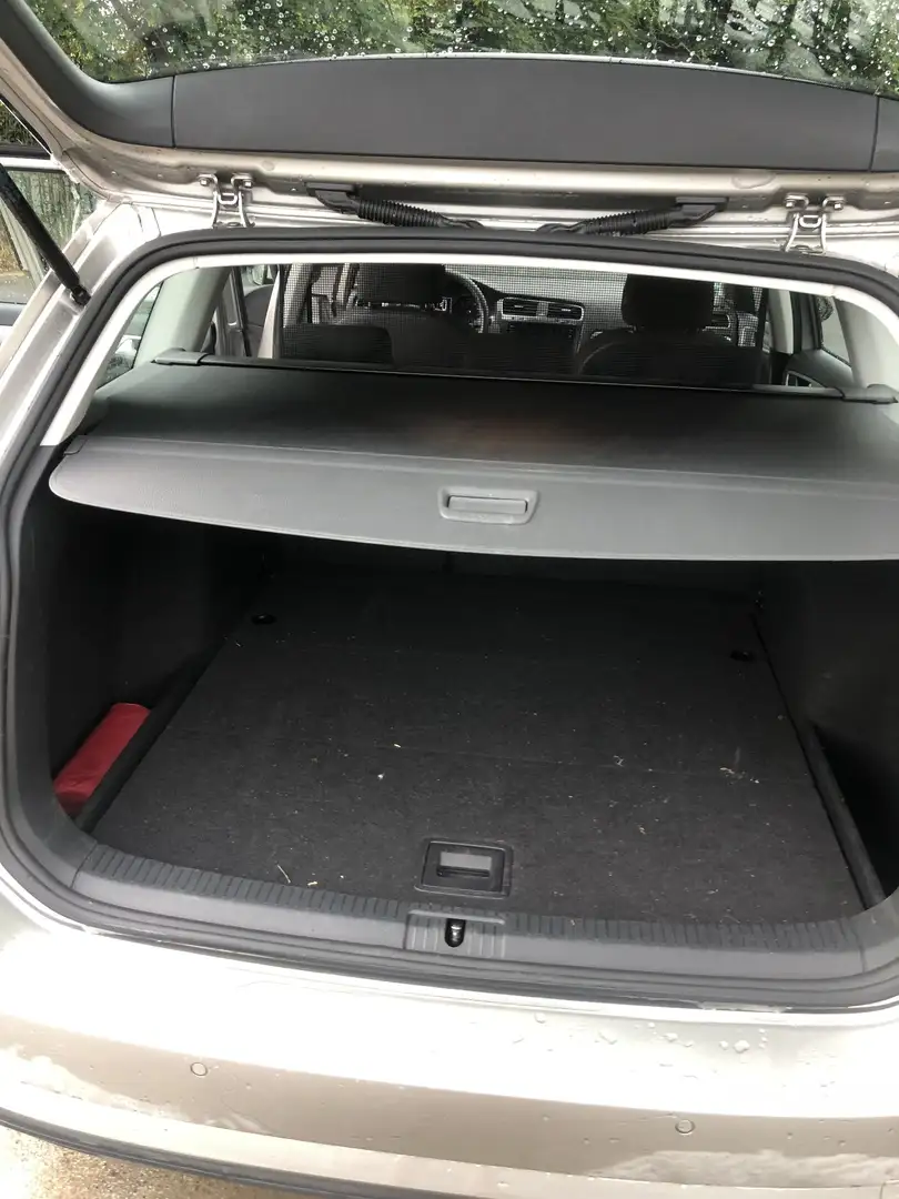 Volkswagen Golf Variant 1.6 TDI (BlueMotion Technology) DSG Trendline - 2