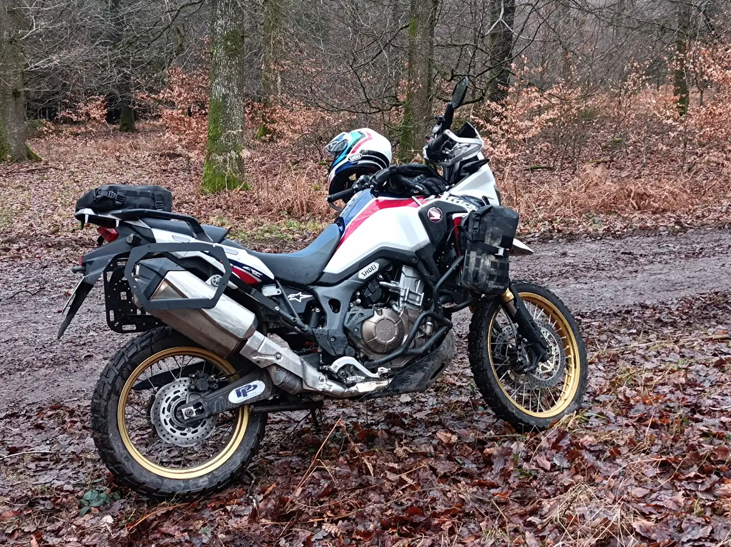 Honda CRF 1000 Boite meca Fehér - 2