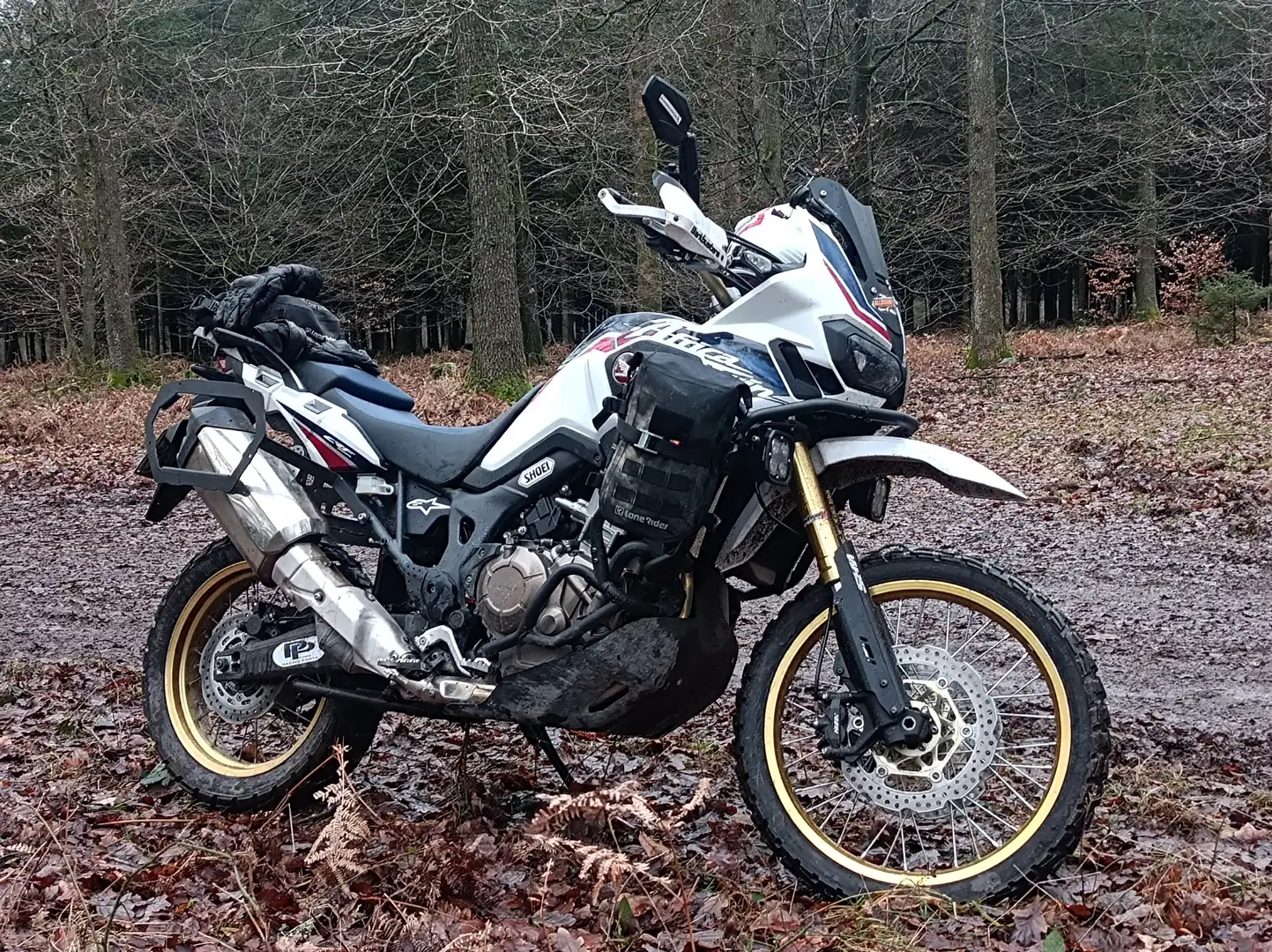 Honda CRF 1000 Boite meca Fehér - 1