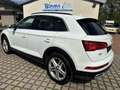 Audi Q5 55 TFSI e quattro sport S-Line / LED / AHK Weiß - thumbnail 4
