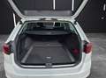 Volkswagen Passat Variant TDI Business DSG Matrix AHK Navi Pano ACC RFK SH Weiß - thumbnail 14