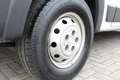 Fiat Ducato 35H 2.3 MultiJet 130PK Euro6 L2H2 ✓ 3-zits ✓ Clima Wit - thumbnail 17