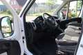 Fiat Ducato 35H 2.3 MultiJet 130PK Euro6 L2H2 ✓ 3-zits ✓ Clima Blanc - thumbnail 17