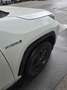 Toyota RAV 4 Rav4 2.5 vvt-ie h Style 2wd 218cv e-cvt Bianco - thumbnail 2