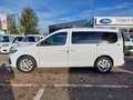 Ford Grand Tourneo Connect Titanium NAVI*iACC*SHZ*LED Weiß - thumbnail 30