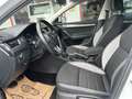 Skoda Octavia Ambition 4x4 Weiß - thumbnail 12