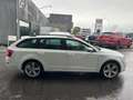Skoda Octavia Ambition 4x4 Weiß - thumbnail 7