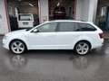 Skoda Octavia Ambition 4x4 Weiß - thumbnail 8