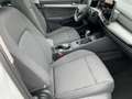 Volkswagen Golf Variant Golf VIII Variant 1.5 TSI 5JG+LED+NAVI+AHK+PANO Weiß - thumbnail 12