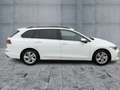 Volkswagen Golf Variant Golf VIII Variant 1.5 TSI 5JG+LED+NAVI+AHK+PANO Weiß - thumbnail 7